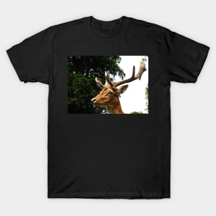 Portrait of a Deer T-Shirt